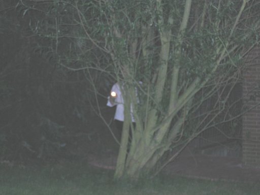 Wer ist der Baum mit der Taschenlampe?