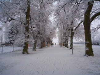 Die Natur in Gernsheim lädt zum Wandern ein.  Schön wäre da eine Pilgerkneipe in der neuen Pilgerhalle, mit heißem Grog in strengen Wintern.